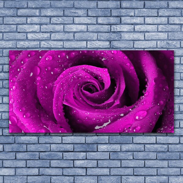 Quadro su tela Natura della pianta del fiore della rosa 100x50 cm