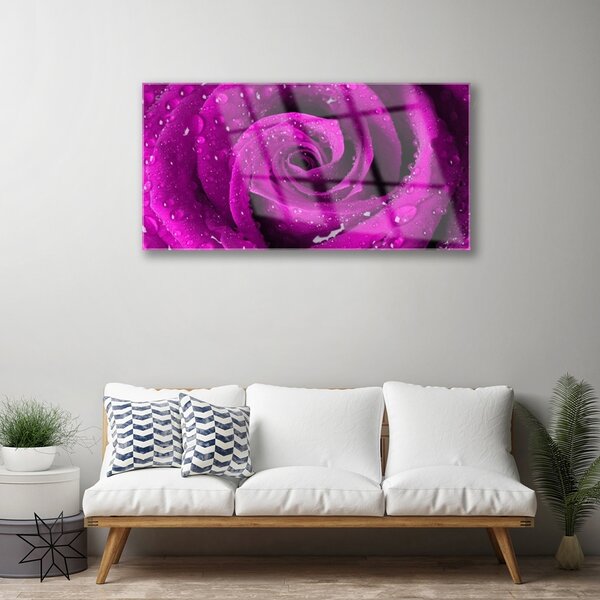 Quadro in vetro Fiore di rosa pianta naturale 100x50 cm 2 appendini