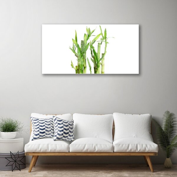 Quadro in vetro Pianta di bambù a stelo fiorito 100x50 cm 2 appendini