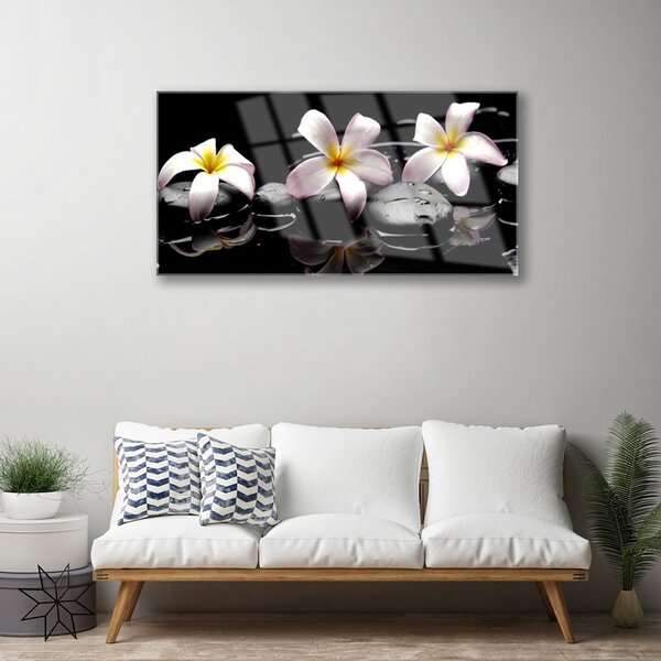 Quadro in vetro Pietre da fiore Pianta 100x50 cm 2 appendini