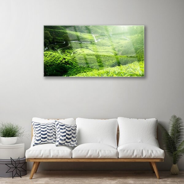 Quadro in vetro Prato naturale 100x50 cm 2 appendini