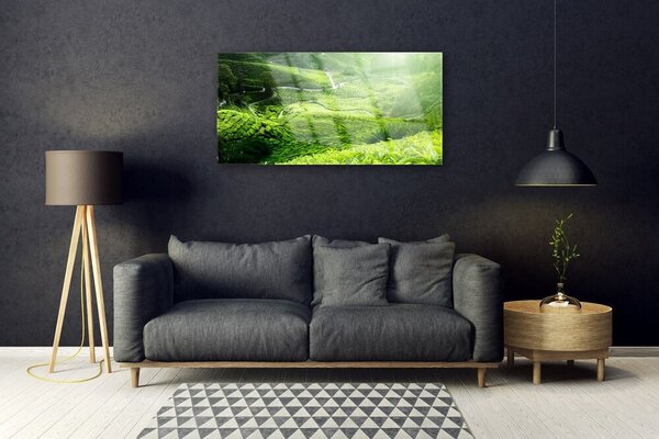 Quadro in vetro Prato naturale 100x50 cm 2 appendini