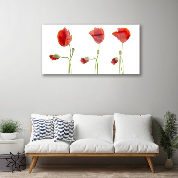 Quadro vetro Papaveri Pianta Naturale 100x50 cm 2 appendini