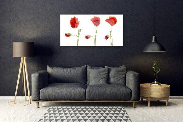 Quadro vetro Papaveri Pianta Naturale 100x50 cm 2 appendini