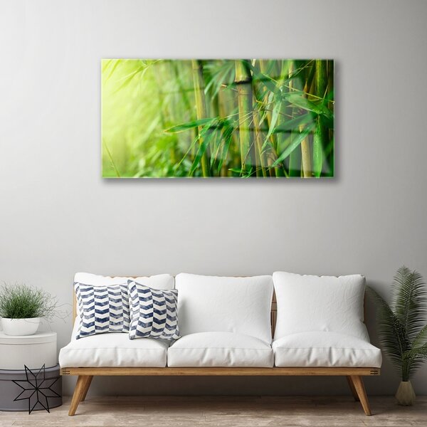 Quadro su vetro Pianta a stelo di bambù 100x50 cm 2 appendini