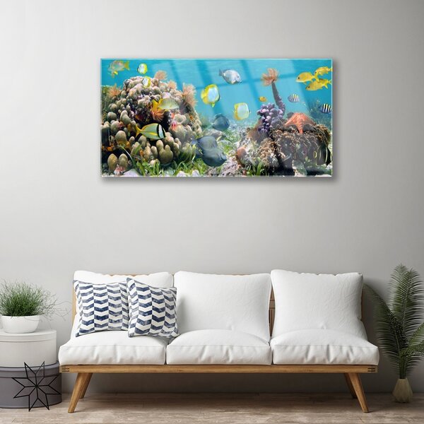 Quadro su vetro Natura della barriera corallina 100x50 cm 2 appendini