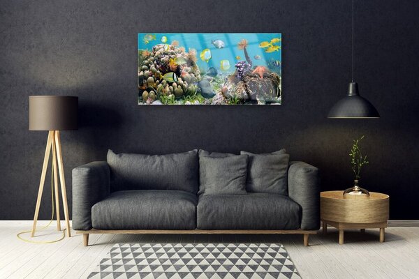 Quadro su vetro Natura della barriera corallina 100x50 cm 2 appendini