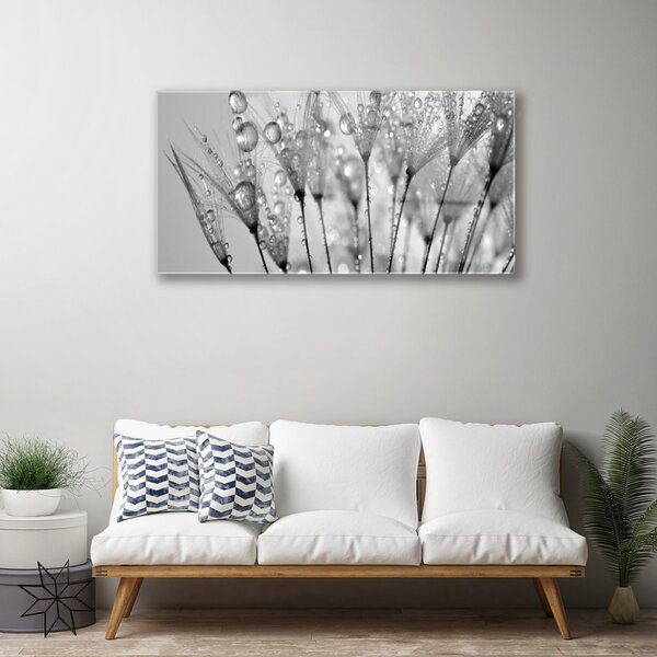 Quadro su vetro Pianta di dente di leone 100x50 cm 2 appendini