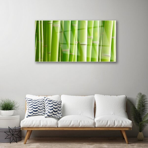 Quadro su vetro Pianta di bambù a stelo fiorito 100x50 cm 2 appendini