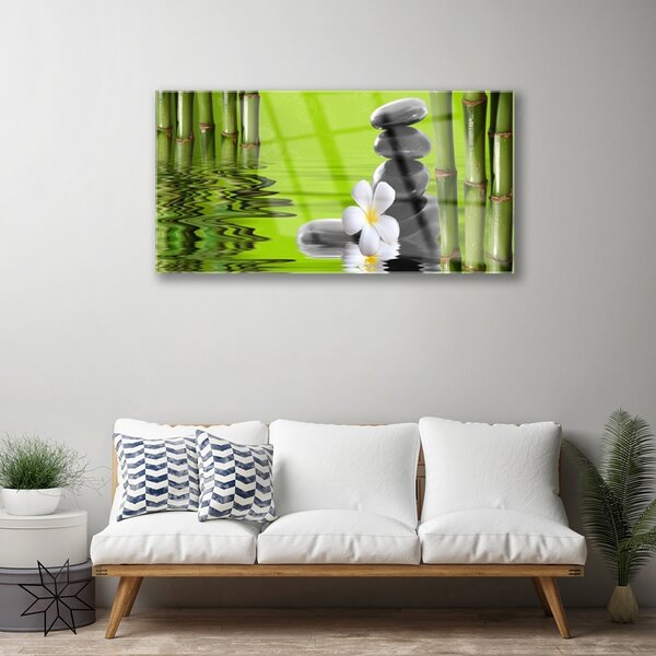 Quadro in vetro Pianta di bambù 100x50 cm 2 appendini