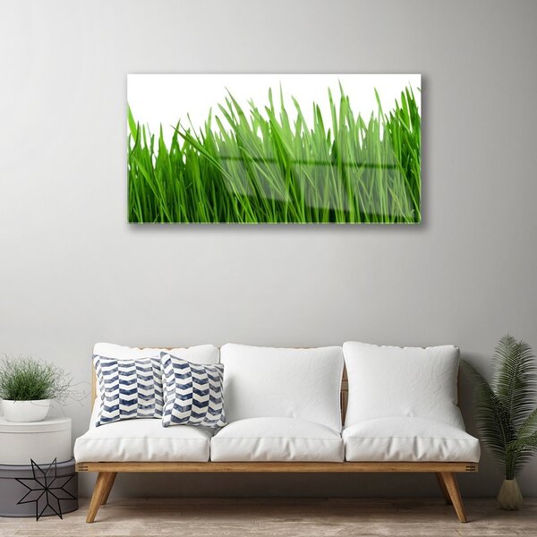 Quadro su vetro Erba Pianta Natura 100x50 cm 2 appendini