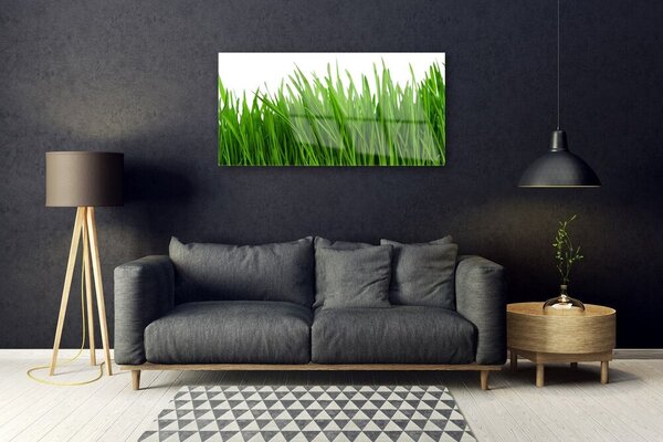 Quadro su vetro Erba Pianta Natura 100x50 cm 2 appendini