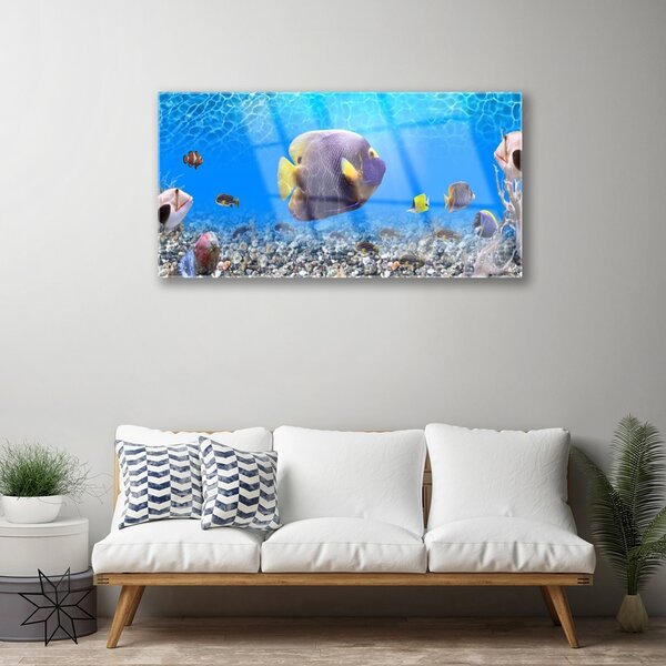 Quadro in vetro Pesce Natura 100x50 cm 2 appendini
