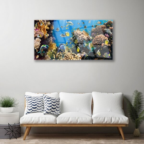 Quadro vetro Natura della barriera corallina 100x50 cm 2 appendini