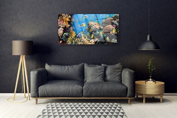Quadro vetro Natura della barriera corallina 100x50 cm 2 appendini