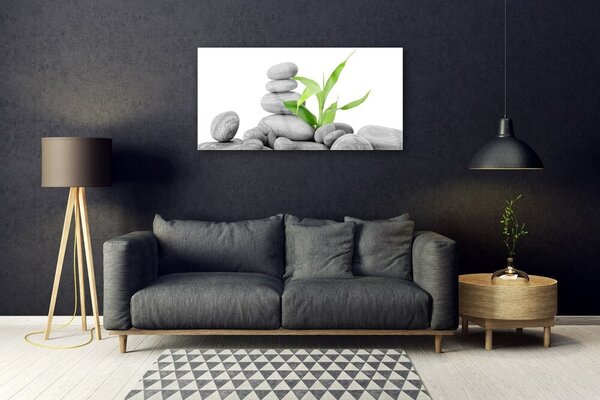 Quadro su vetro Pietre Foglie Arte 100x50 cm 2 appendini