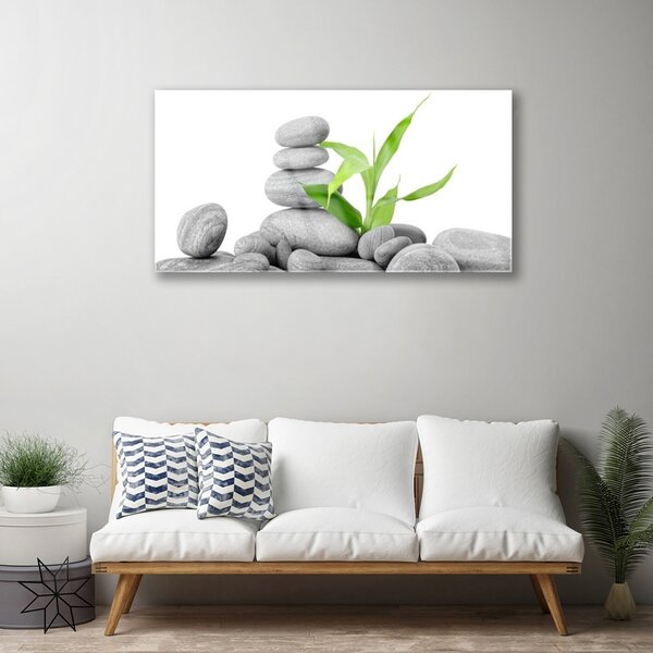 Quadro su vetro Pietre Foglie Arte 100x50 cm 2 appendini