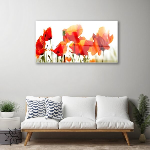 Quadro in vetro Papaveri Pianta Naturale 100x50 cm 2 appendini