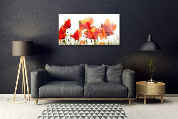 Quadro in vetro Papaveri Pianta Naturale 100x50 cm 2 appendini