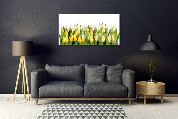 Quadro di vetro Tulipani Fiori Pianta 100x50 cm 2 appendini