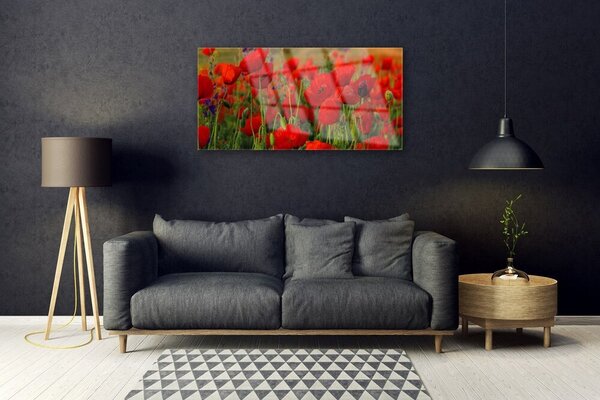 Quadro di vetro Papaveri Pianta Naturale 100x50 cm 2 appendini