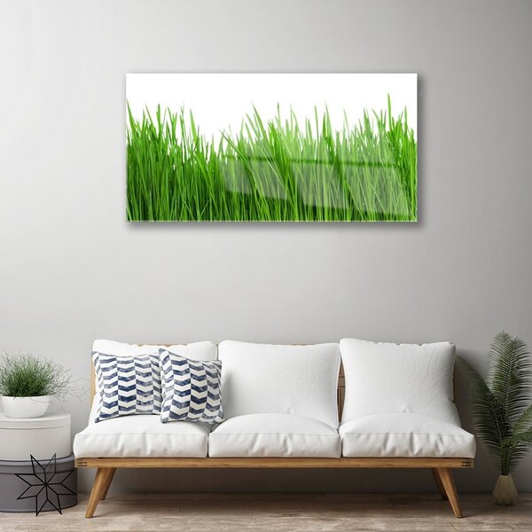 Quadro su vetro Erba Pianta Natura 100x50 cm 2 appendini
