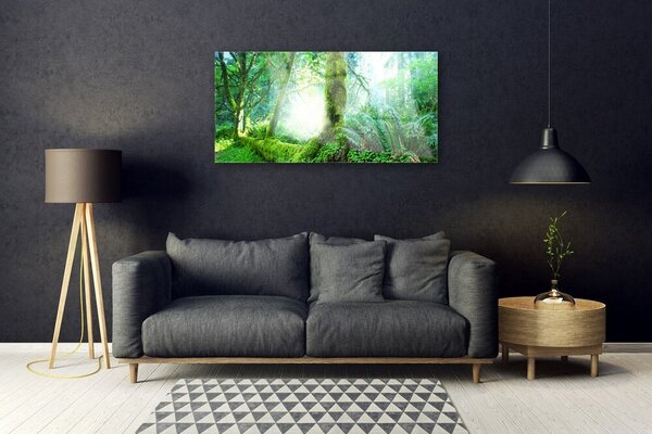 Quadro di vetro Foresta Muschio Natura 100x50 cm 2 appendini