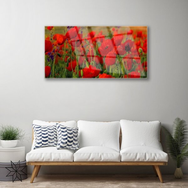 Quadro di vetro Papaveri Pianta Naturale 100x50 cm 2 appendini