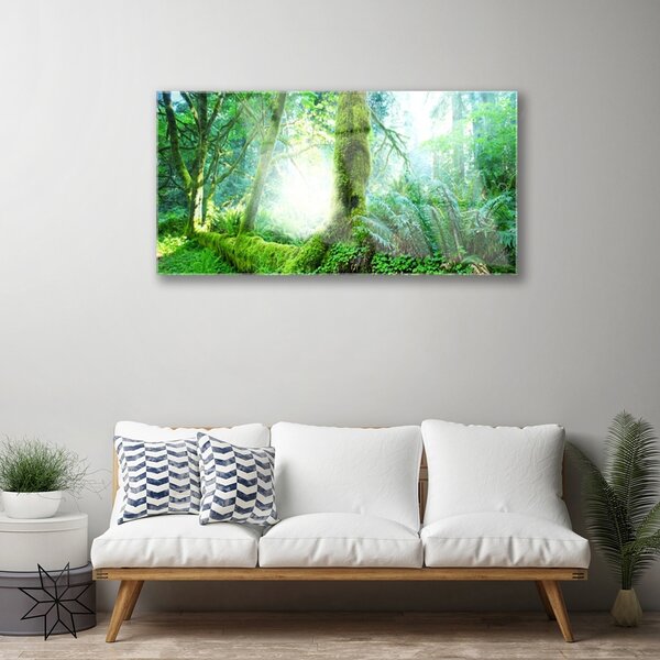 Quadro di vetro Foresta Muschio Natura 100x50 cm 2 appendini