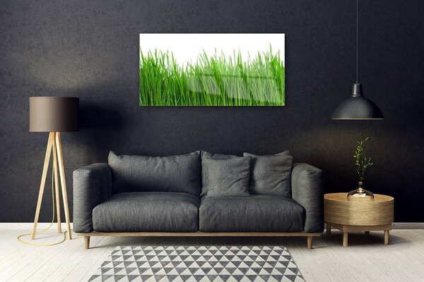 Quadro su vetro Erba Pianta Natura 100x50 cm 2 appendini