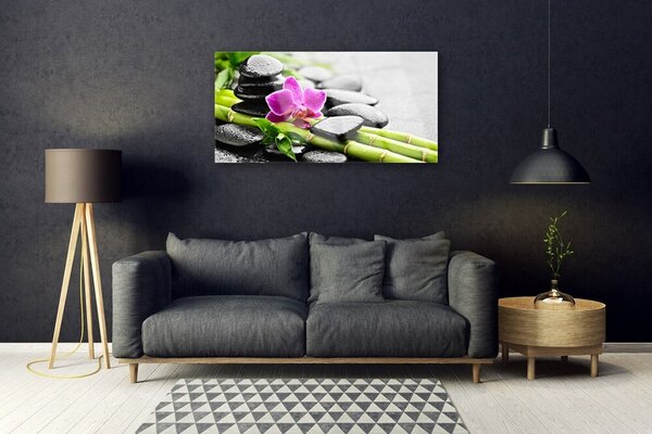 Quadro in vetro Pietre di fiori di bambù Arte 100x50 cm 2 appendini