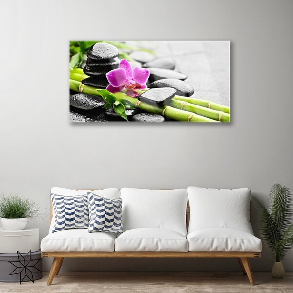 Quadro in vetro Pietre di fiori di bambù Arte 100x50 cm 2 appendini