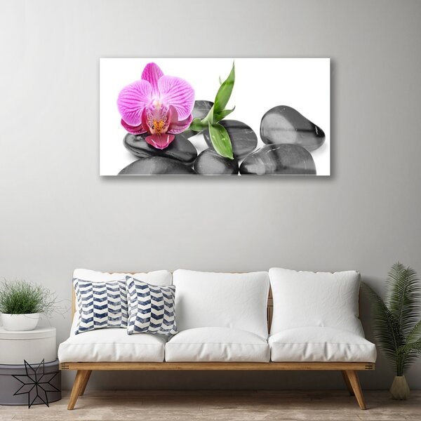 Quadro di vetro Pietre di fiori d'arte 100x50 cm 2 appendini
