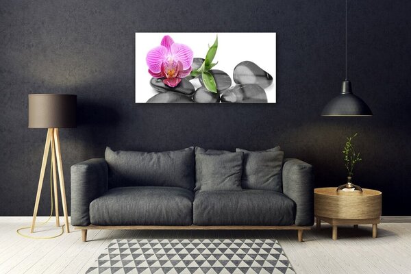 Quadro di vetro Pietre di fiori d'arte 100x50 cm 2 appendini