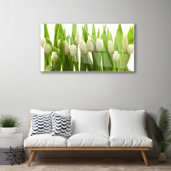 Quadro su vetro Tulipani Fiori Pianta 100x50 cm 2 appendini