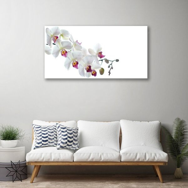 Quadro vetro Fiori Pianta naturale 100x50 cm 2 appendini