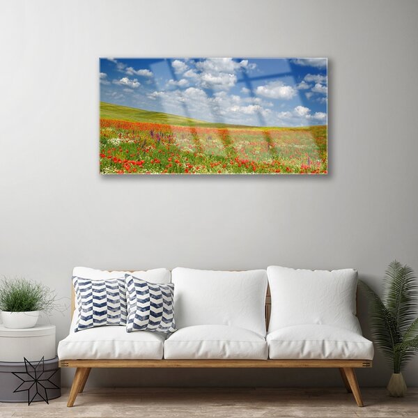 Quadro vetro Prato Fiori Paesaggio 100x50 cm 2 appendini