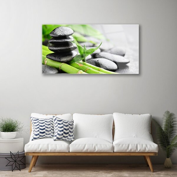 Quadro di vetro Pianta di bambù 100x50 cm 2 appendini