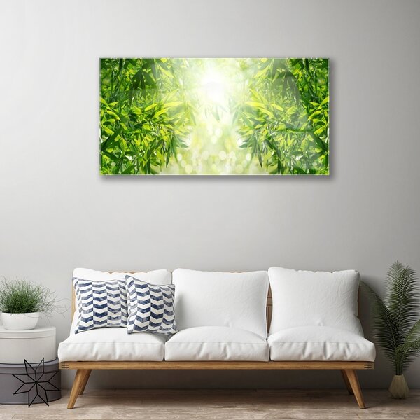 Quadro vetro Foglia Natura Pianta 100x50 cm 2 appendini