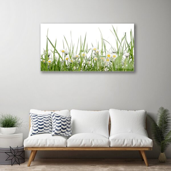 Quadro su vetro Erba margherita Natura 100x50 cm 2 appendini