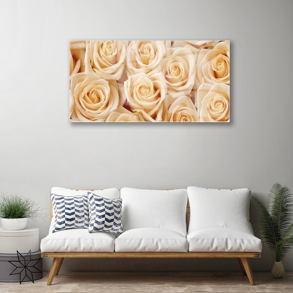Quadro di vetro Rose Fiori Pianta 100x50 cm 2 appendini
