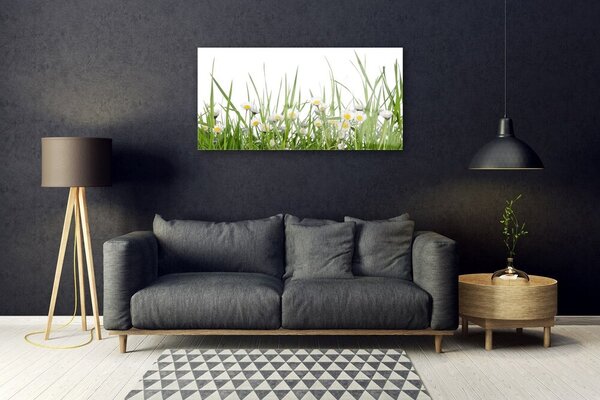 Quadro su vetro Erba margherita Natura 100x50 cm 2 appendini