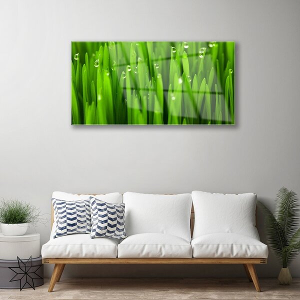 Quadro vetro Erba Natura Pianta 100x50 cm 2 appendini