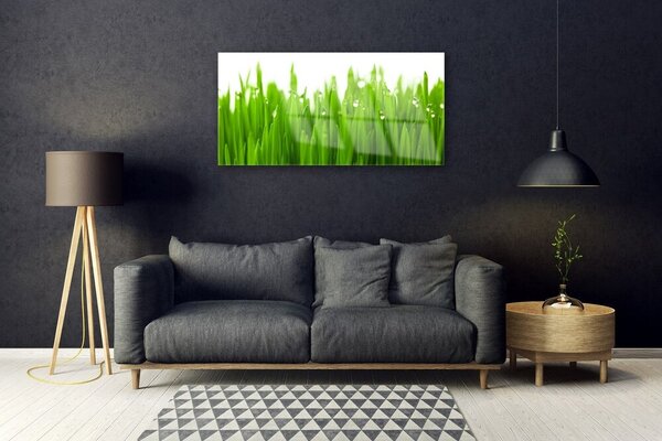 Quadro di vetro Erba Natura Pianta 100x50 cm 2 appendini