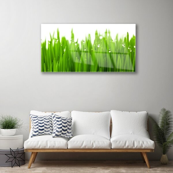 Quadro di vetro Erba Natura Pianta 100x50 cm 2 appendini