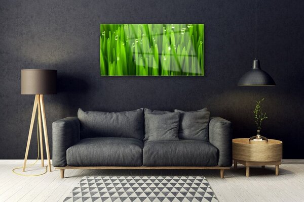 Quadro vetro Erba Natura Pianta 100x50 cm 2 appendini