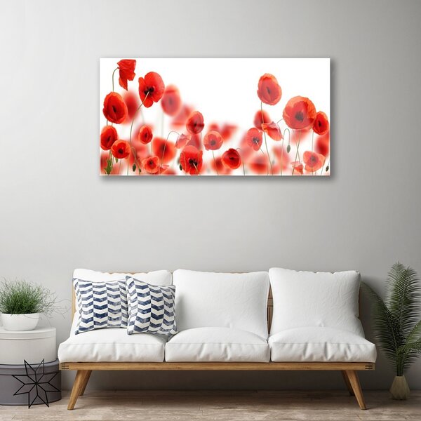 Quadro in vetro Papaveri Pianta Naturale 100x50 cm 2 appendini