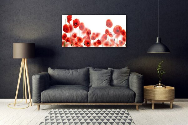 Quadro in vetro Papaveri Pianta Naturale 100x50 cm 2 appendini