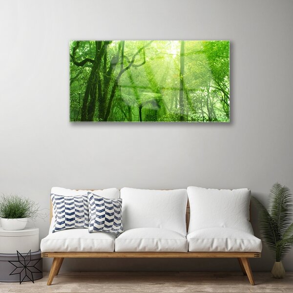 Quadro vetro Alberi della natura 100x50 cm 2 appendini