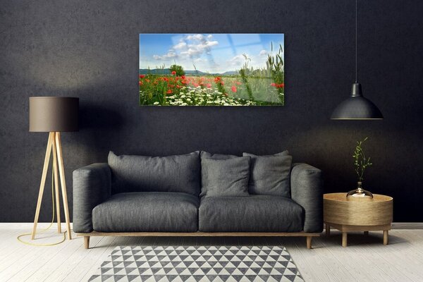 Quadro in vetro Prato Fiori Natura Pianta 100x50 cm 2 appendini